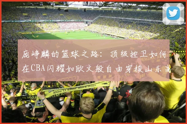 庞峥麟的篮球之路：顶级控卫如何在CBA闪耀如欧文般自由穿梭山东高速